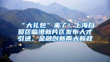 “大礼包”来了！上海自贸区临港新片区发布人才引进、金融创新两大新政