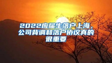 2022应届生落户上海，公司背调和落户协议真的很重要