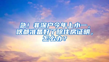 急！非深户今年上小一，啥都准备好了除住房证明，怎么办？