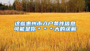 这些惠州市入户条件信息可能是你＊＊＊大的误解