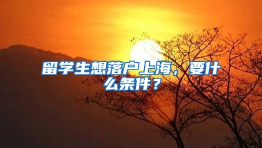 留学生想落户上海，要什么条件？