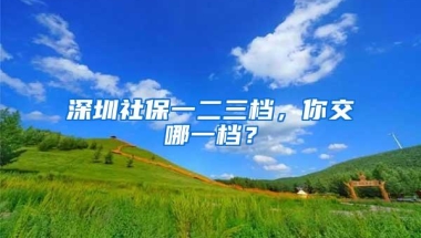 深圳社保一二三档，你交哪一档？