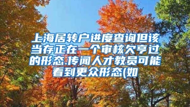 上海居转户进度查询但该当存正在一个审核欠亨过的形态.传闻人才教员可能看到更众形态(如