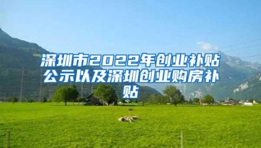 深圳市2022年创业补贴公示以及深圳创业购房补贴