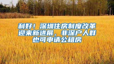 利好！深圳住房制度改革迎来新进展，非深户人群也可申请公租房