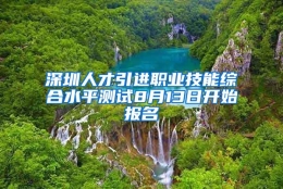 深圳人才引进职业技能综合水平测试8月13日开始报名