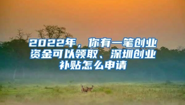 2022年，你有一笔创业资金可以领取、深圳创业补贴怎么申请