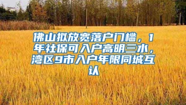 佛山拟放宽落户门槛，1年社保可入户高明三水，湾区9市入户年限同城互认