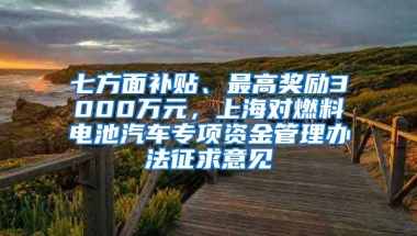 七方面补贴、最高奖励3000万元，上海对燃料电池汽车专项资金管理办法征求意见