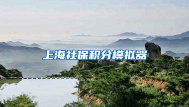 上海社保积分模拟器