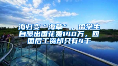 海归变“海草”，留学生自曝出国花费140万，回国后工资却只有4千