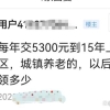 上海年交5300元城乡居民社保，交费15年60岁退休后能开多少工资