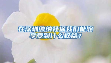 在深圳缴纳社保我们能够享受到什么权益？