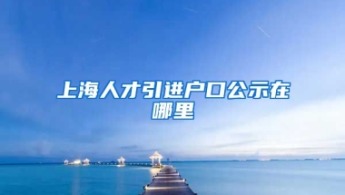 上海人才引进户口公示在哪里