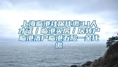 上海临港社保代缴3.1人才证／临港买房／居转户临港落户临港五险一金代缴