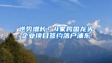 逆势增长！4家跨国龙头企业项目签约落户浦东