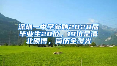 深圳一中学新聘2020届毕业生20位，19位是清北硕博，简历全曝光