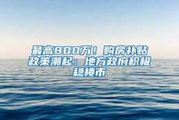 最高800万！购房补贴政策潮起：地方政府积极稳楼市