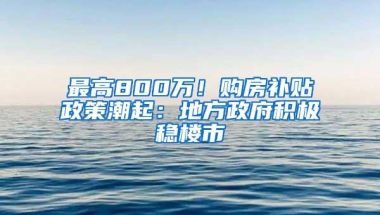 最高800万！购房补贴政策潮起：地方政府积极稳楼市