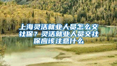 上海灵活就业人员怎么交社保？灵活就业人员交社保应该注意什么