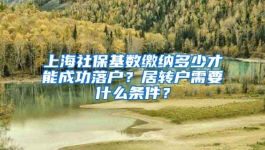 上海社保基数缴纳多少才能成功落户？居转户需要什么条件？