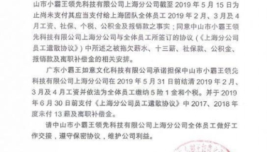 小霸王再陷风波：员工社保断缴，项目交接困难