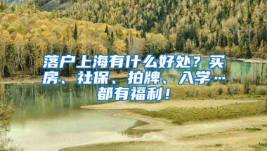 落户上海有什么好处？买房、社保、拍牌、入学…都有福利！