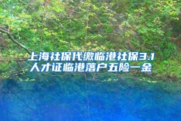 上海社保代缴临港社保3.1人才证临港落户五险一金