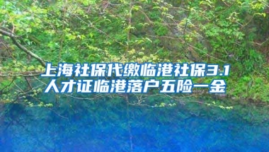 上海社保代缴临港社保3.1人才证临港落户五险一金