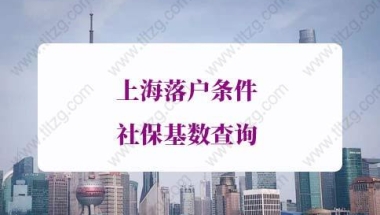 上海落户条件社保基数查询：“上海人社”APP查询社保