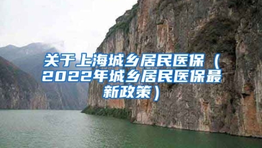 关于上海城乡居民医保（2022年城乡居民医保最新政策）