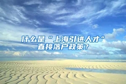 什么是“上海引进人才”直接落户政策？