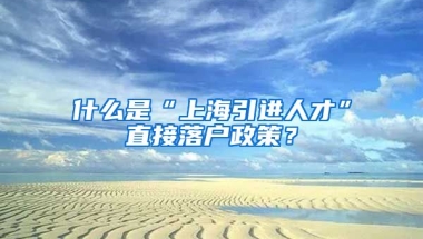 什么是“上海引进人才”直接落户政策？