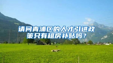 请问青浦区的人才引进政策只有租房补贴吗？