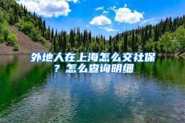 外地人在上海怎么交社保？怎么查询明细