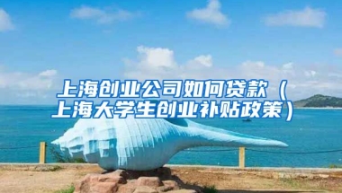 上海创业公司如何贷款（上海大学生创业补贴政策）