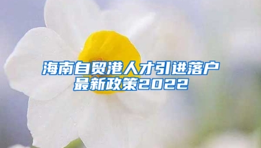 海南自贸港人才引进落户最新政策2022