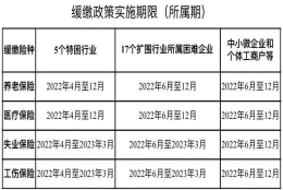 关于阶段性缓缴社会保险费政策，您了解吗？