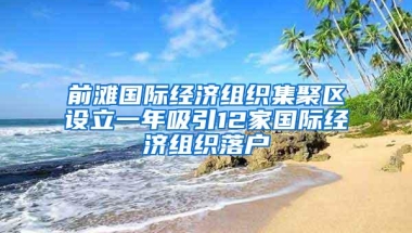 前滩国际经济组织集聚区设立一年吸引12家国际经济组织落户