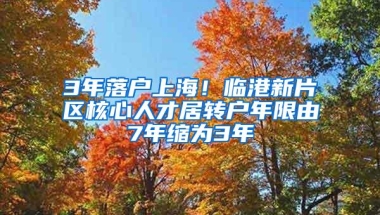 3年落户上海！临港新片区核心人才居转户年限由7年缩为3年