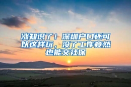 涨知识了！深圳户口还可以这样玩，没了工作竟然也能交社保