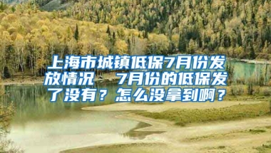 上海市城镇低保7月份发放情况  7月份的低保发了没有？怎么没拿到啊？