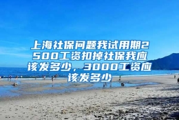 上海社保问题我试用期2500工资扣掉社保我应该发多少，3000工资应该发多少