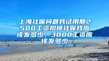 上海社保问题我试用期2500工资扣掉社保我应该发多少，3000工资应该发多少