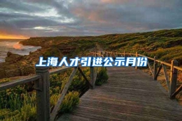 上海人才引进公示月份