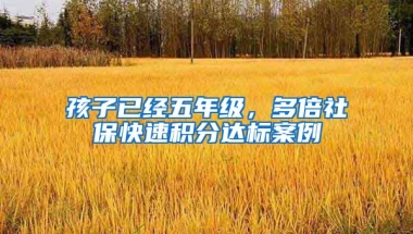 孩子已经五年级，多倍社保快速积分达标案例