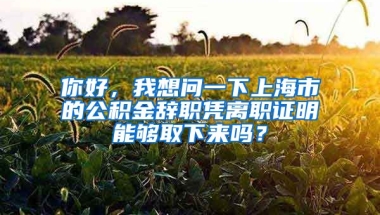 你好，我想问一下上海市的公积金辞职凭离职证明能够取下来吗？