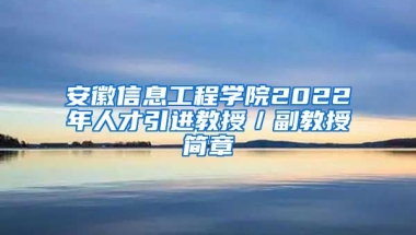 安徽信息工程学院2022年人才引进教授／副教授简章