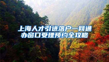 上海人才引进落户一网通办窗口受理预约全攻略