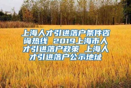 上海人才引进落户条件咨询热线 2019上海市人才引进落户政策 上海人才引进落户公示地址